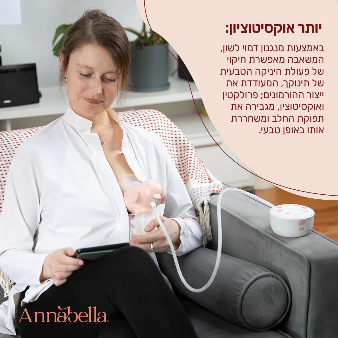 אנבלה משאבת הנקה דו-צדדית + חזיית שאיבה - Image 8